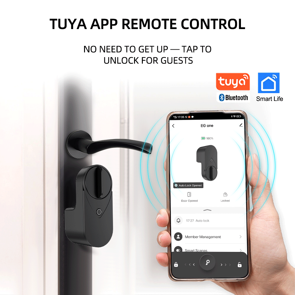 RAYKUBE EG One Tuya BLE Smart  – Home Security For Apartments recenzja i cena