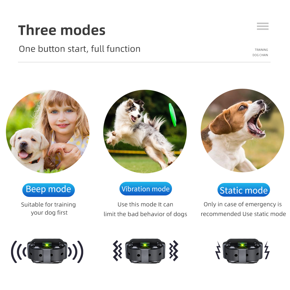 Elektryczna obroża treningowa  – Barking Dog Alarm recenzja i cena